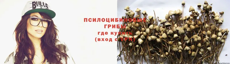 Галлюциногенные грибы Magic Shrooms  Горняк 